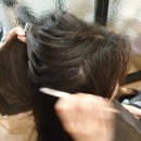 모모의꿈 | 정자에서 두피관리 받는 모모의꿈 후기