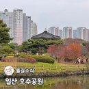 시민근린공원 건너편 | 일산호수공원 경기도 단풍 명소 데이트 산책 코스