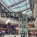 마카오 왕홍체험 6살 후기 성인도 가능해요 갤럭시에 있어요
