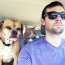 모아동물병원 이미지