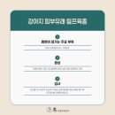 24시휴동물의료센터 네이버블로그