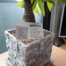 대광모터스 이미지