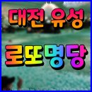 유성복권