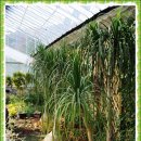 본오 초등학교 이미지