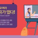 포유코칭 이미지