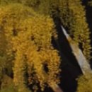 최우식노즈립성형외과의원 이미지