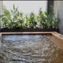 초이스바이반트 이미지