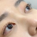 '래쉬하루 스칼피아' 잠실새내 속눈썹펌 후기