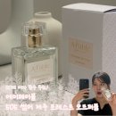 한국에이유통 | 에이페이블 505 썸머 제주 포레스트 오드퍼퓸 | 스파이시 우디 향의 매력, 여름향수 추천