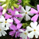 전형철 농장 이미지