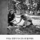 강아지의 하루 이미지