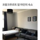 동양세탁 | [강아지 유럽여행] 독일 프랑크푸르트 에어비앤비 강아지 동반 가능 숙소 후기
