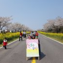 꽃길만 걷장 이미지