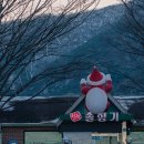 한탄강 큰 집 | 철원 맛집 솔향기 한탄강 주상절리 근처 칼국수 만두전골