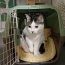 (주)연지 | 연지 CT+MRI 검사 받는 날