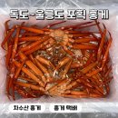 독도환경 | 차수산 홍게 택배 후기｜독도 울릉도 홍게라 배송이 느린 이유가 있는 곳 내돈내산
