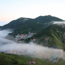 홍도개발
