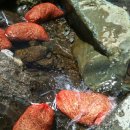 석부농장 이미지