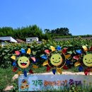 자연설렘 이미지