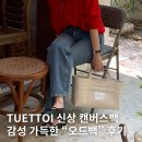 TUETTOI 투에투아 오드백 ode bag 네츄럴 후기, 감성적인 캔버스백