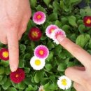 36.5도 우리 - 이미지