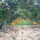 광주세무소 이미지