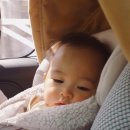 용골가든 이미지