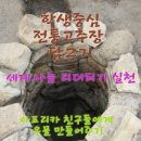 서울풍성초등학교 이미지