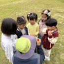 다목초병설유치원 이미지