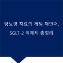 에스지투 이미지