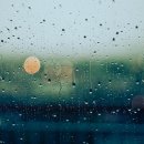 밤낮술 - 양주시 | 밤낮술