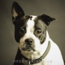 이웃집멍
