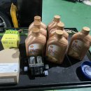 정글팩토리 이미지