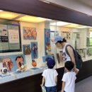 창조자연사박물관 이미지