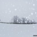 인화목장 이미지