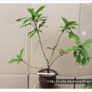 천선농장 이미지