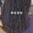 토리헤어 수송점 | 모조토리헤어 군산 나운점 클리릭 후기