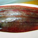 서대 이미지