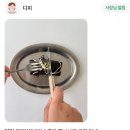 디피(DEFFEE) 이미지