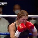 참피온복싱 이미지