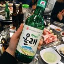 대향흑돼지 이미지