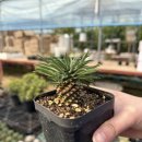 힘차게농장 이미지