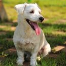 남원동물병원 이미지