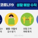 청소하는호랑이 이미지
