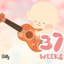 임신 37주 38주 평택 라움 산부인과 제왕절개 수술 동의서 작성, 마지막 만찬