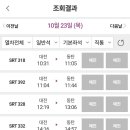 브이별숯불양념치킨