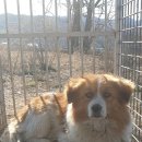 왕신1리 이미지