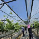 중앙보건지소 이미지