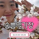삼성식육마트 | [일기] 송쁨 일기장 26.03.30-04.05
