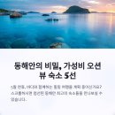 추암타워펜션 | 5월 연휴 바다 근처 숙소 추천 1탄 - 동해안 감성 숙소 BEST 5